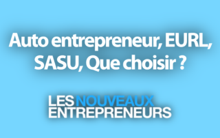Auto entrepreneur, EURL, SASU, Que choisir ?