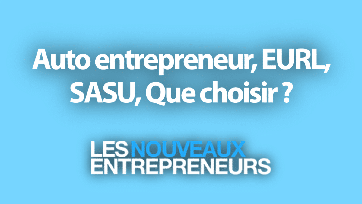 Auto entrepreneur, EURL, SASU, Que choisir ?